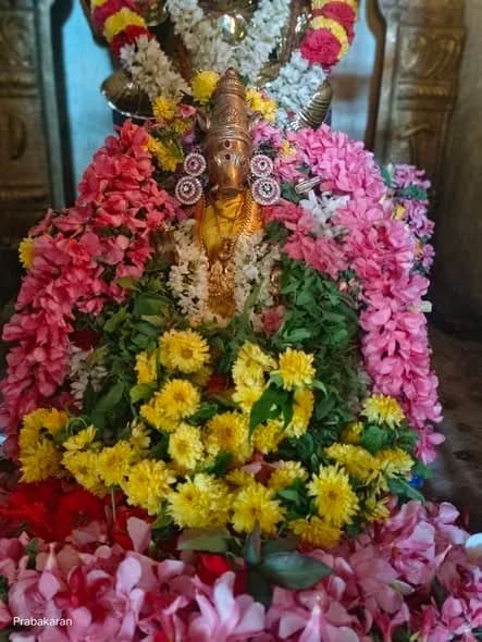 Sri Varahi Temple 17